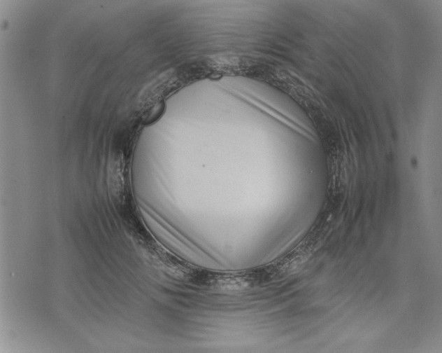 X0000075330702200609250947