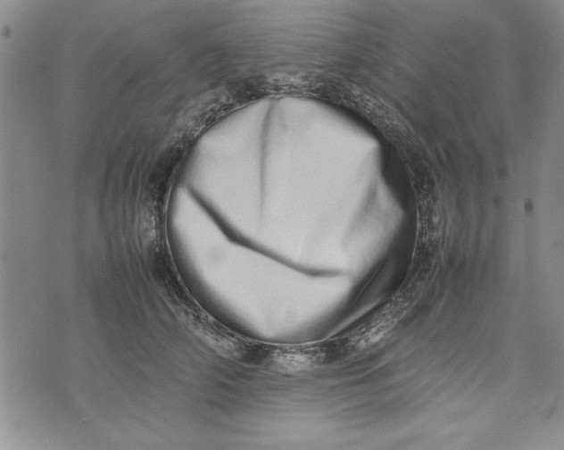 X0000075330706200609250947