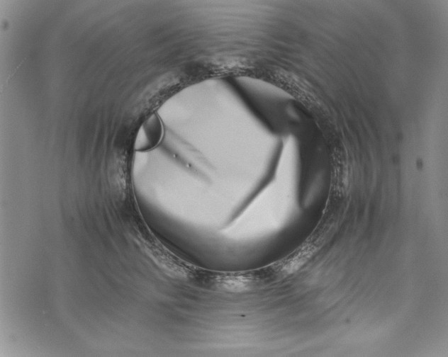 X0000075330710200609250947