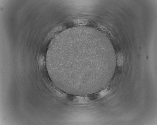 X0000075330713200609250947