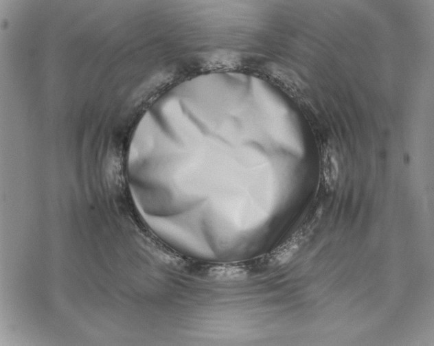 X0000075330714200609250947