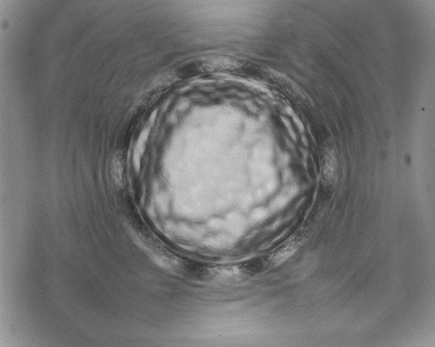 X0000075330715200609250947