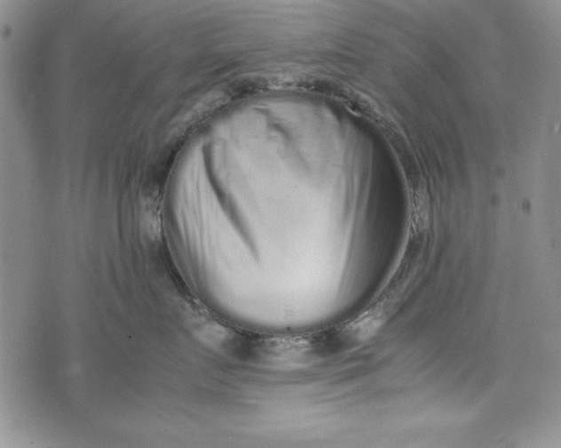 X0000075330719200609250947