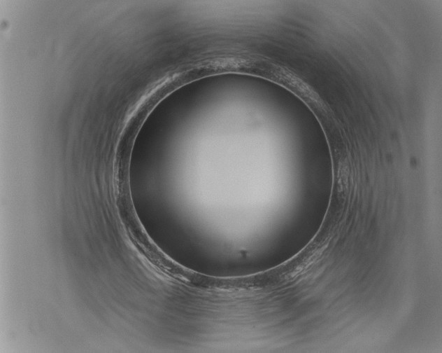 X0000075330722200609250946