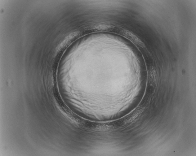 X0000075330734200609250946
