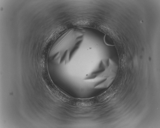 X0000075330739200609250946