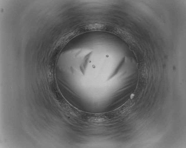 X0000075330743200609250946