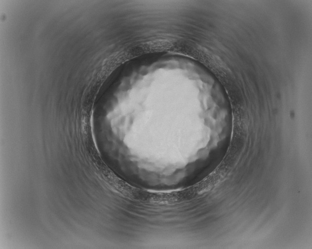 X0000075330745200609250946