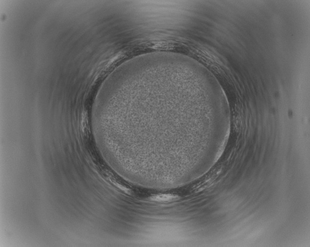 X0000075330748200609250946