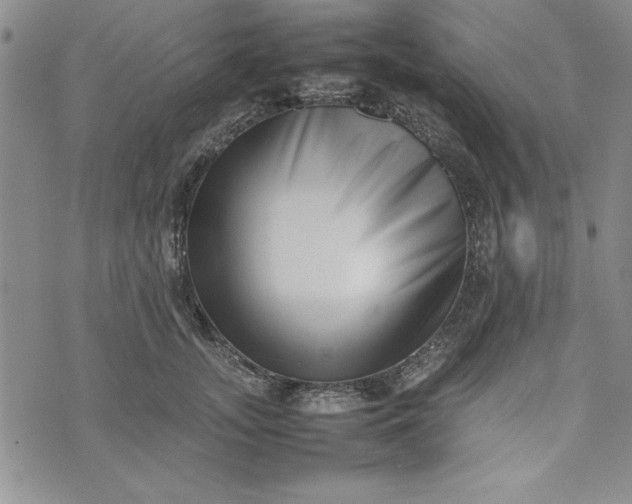 X0000075330755200609250946