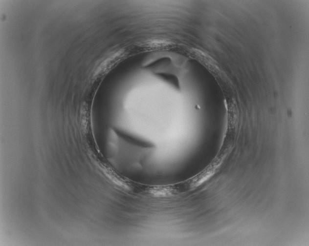 X0000075330762200609250947
