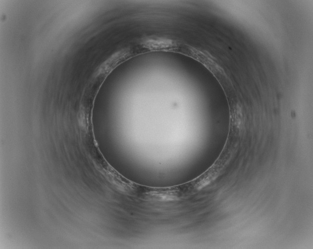 X0000075330763200609250947