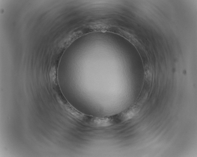 X0000075330767200609250947