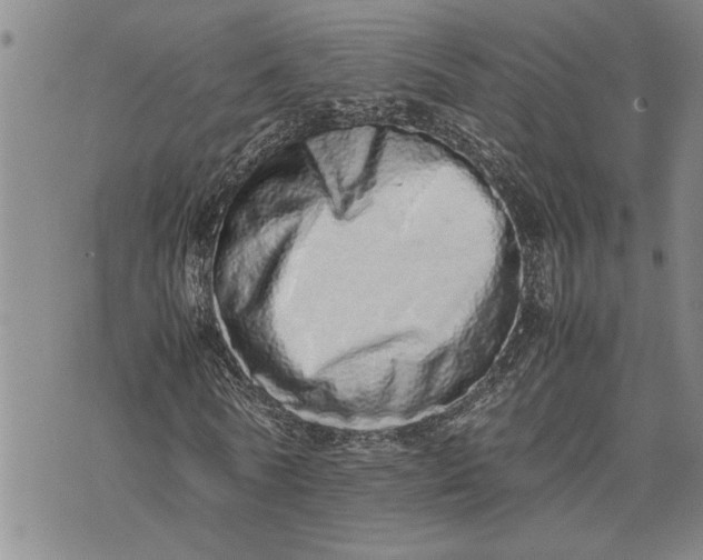 X0000075330770200609250946