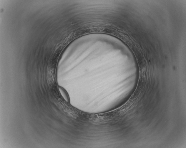 X0000075330772200609250946