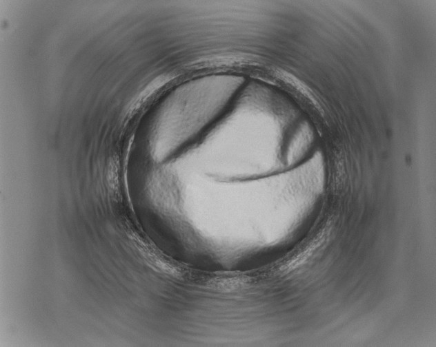 X0000075330778200609250946
