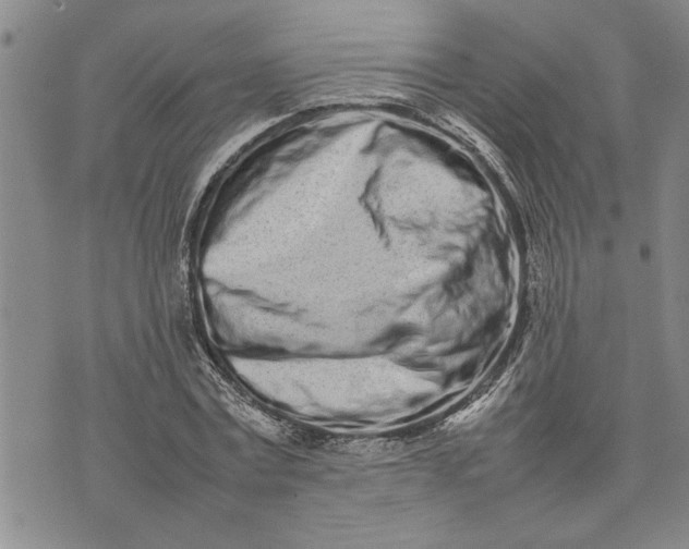 X0000075330779200609250946
