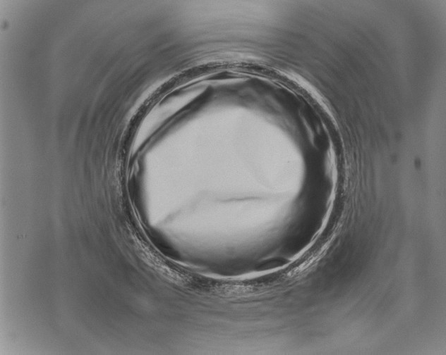 X0000075330783200609250946