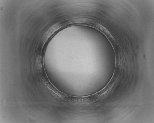 X0000075330786200609250946