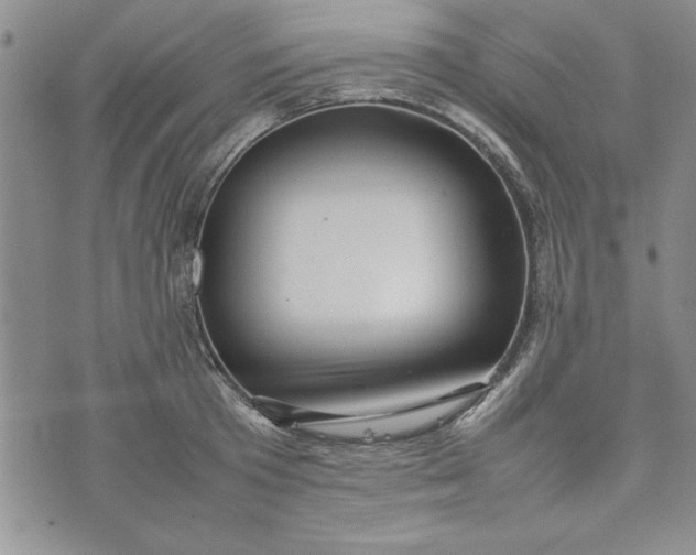 X0000075330801200609250945