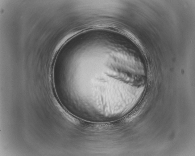 X0000075330803200609250945