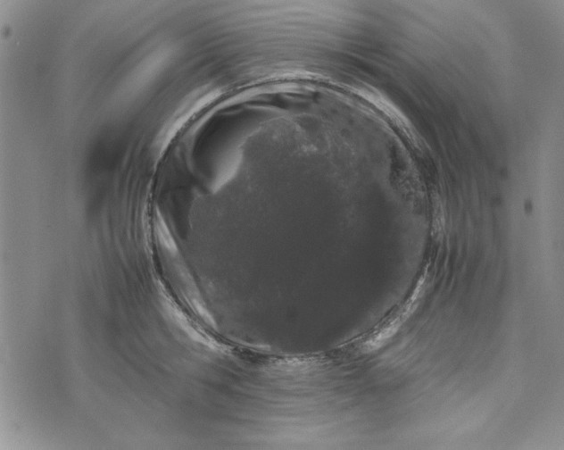 X0000075330806200609250945