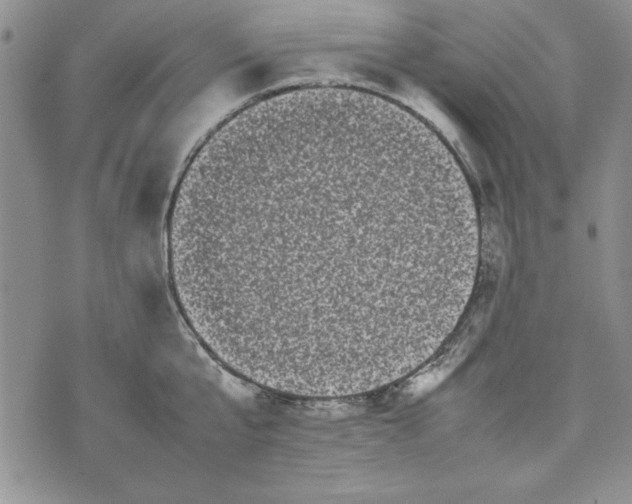 X0000075330807200609250945