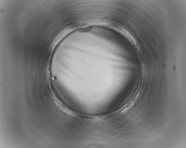 X0000075330814200609250945