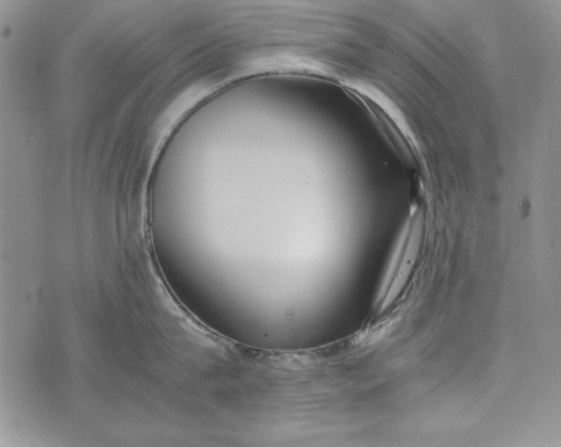 X0000075330815200609250945