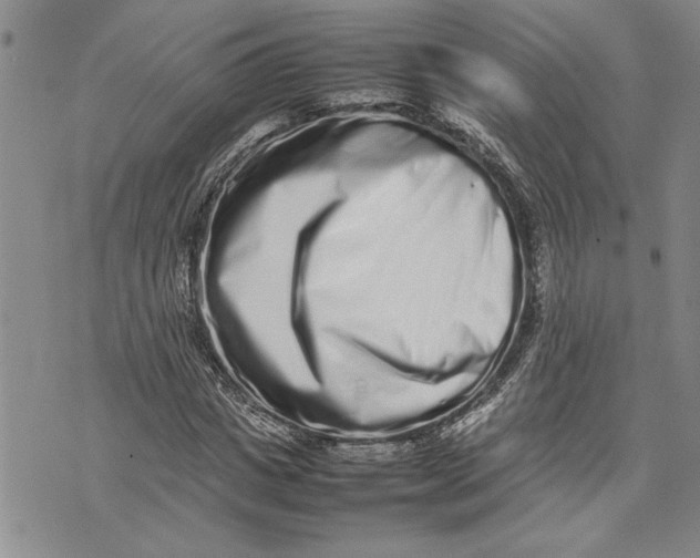 X0000075330825200609250945