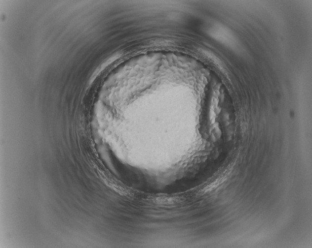 X0000075330827200609250945