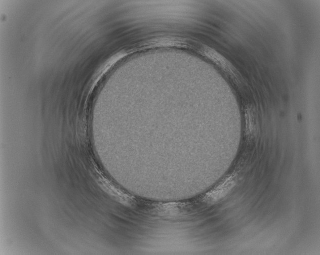 X0000075330828200609250945