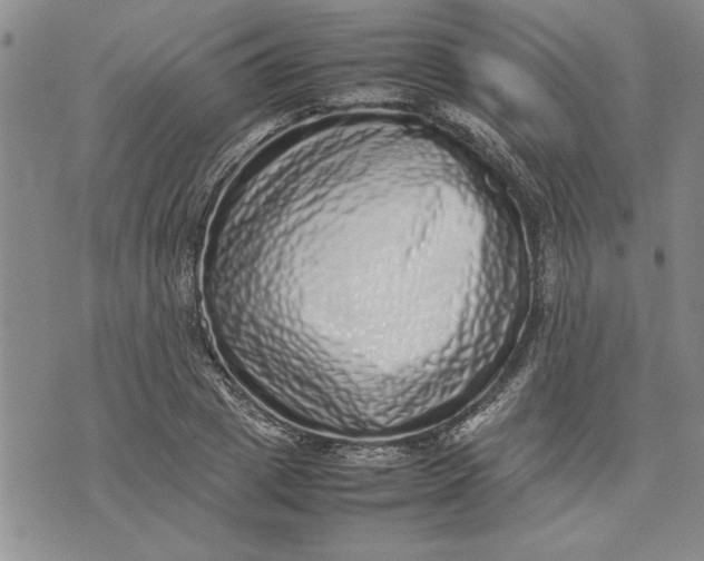 X0000075330833200609250945