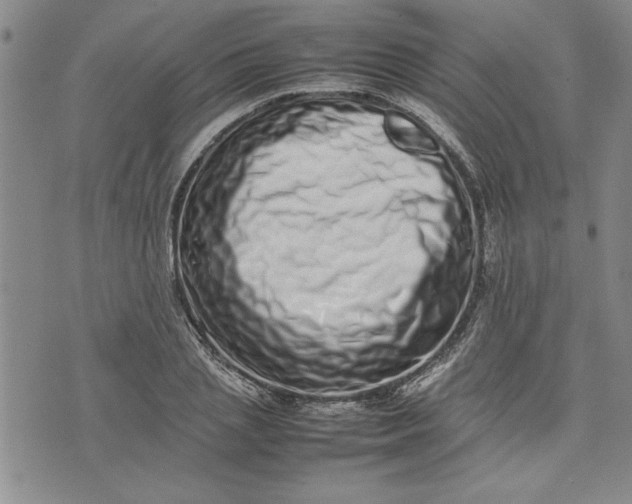X0000075330837200609250945