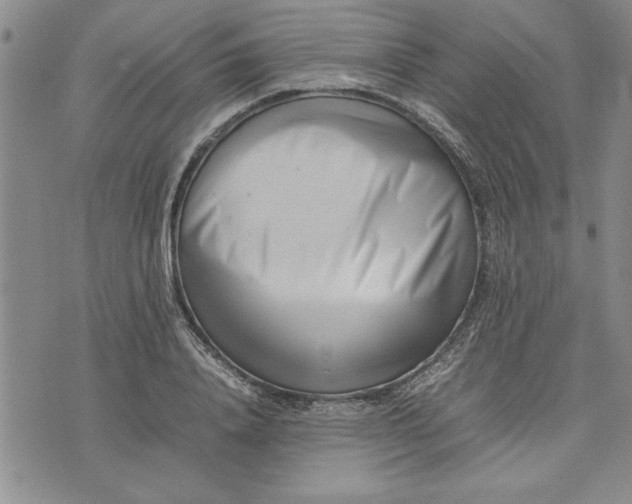 X0000075330840200609250945