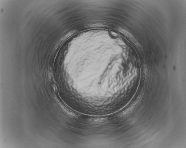 X0000075330841200609250945