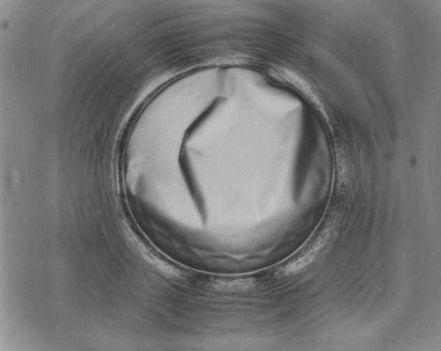 X0000075330843200609250945