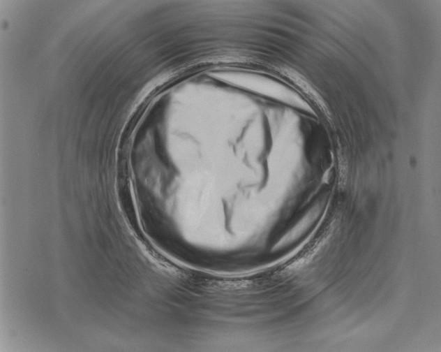X0000075330845200609250945