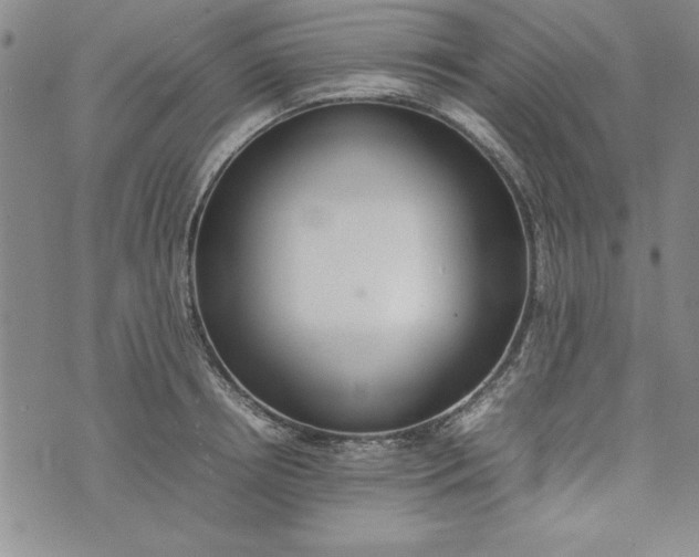 X0000075330850200609250945