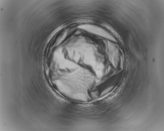 X0000075330853200609250945