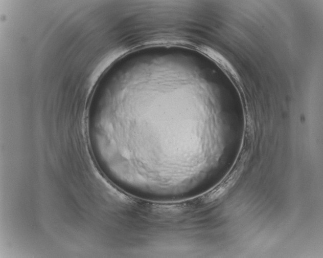 X0000075330855200609250945