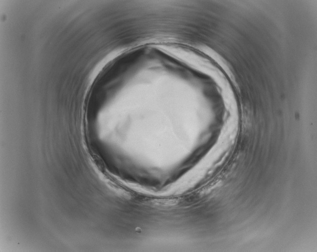 X0000075330861200609250945