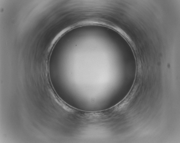X0000075330862200609250945