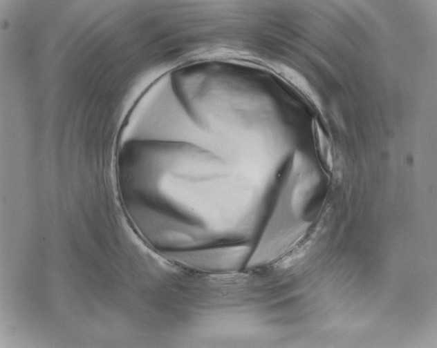 X0000075330863200609250945