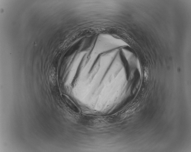 X0000075330867200609250944