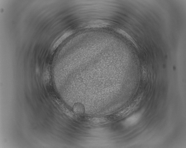 X0000075330874200609250944