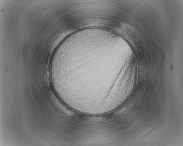 X0000075330890200609250944