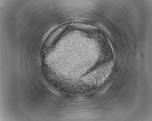 X0000075330891200609250944
