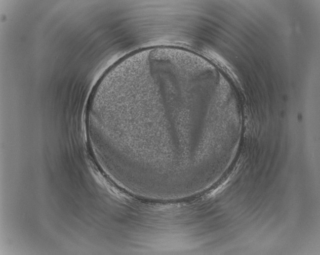 X0000075330892200609250944