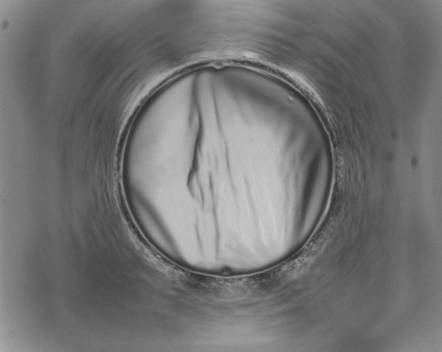 X0000075330895200609250944